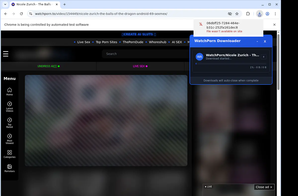 Watchporn Video Downloader browser extension screenshot 2