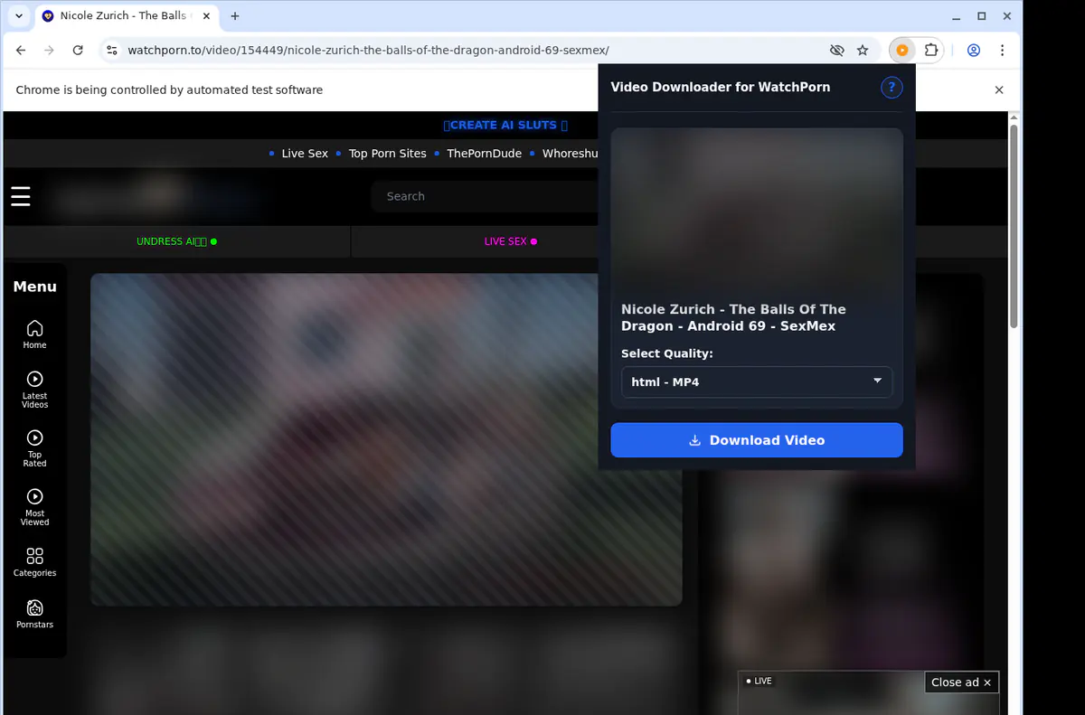 Watchporn Video Downloader browser extension screenshot 3