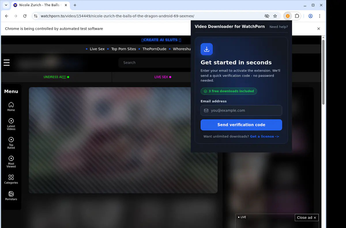 Watchporn Video Downloader browser extension screenshot 5